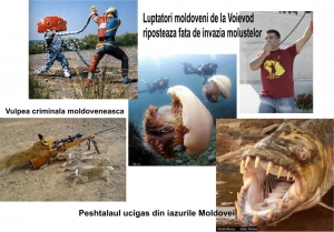 Nenorociri maxime in Moldova