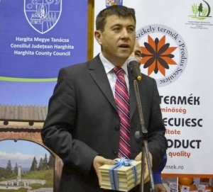 UDMR-ul face presiuni pentru a repune un penal &icirc;n fruntea Consiliului Judeţean Harghita 