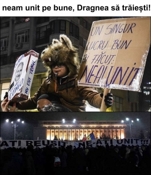 Replierea...ne-am unit, urmează fie un neam organizat, fie nimic