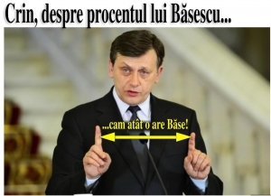 Crin, usor confuzionat de procentul lui Base...