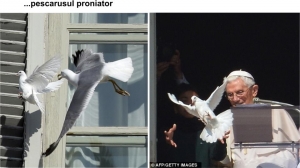 ...pescarusul proniator